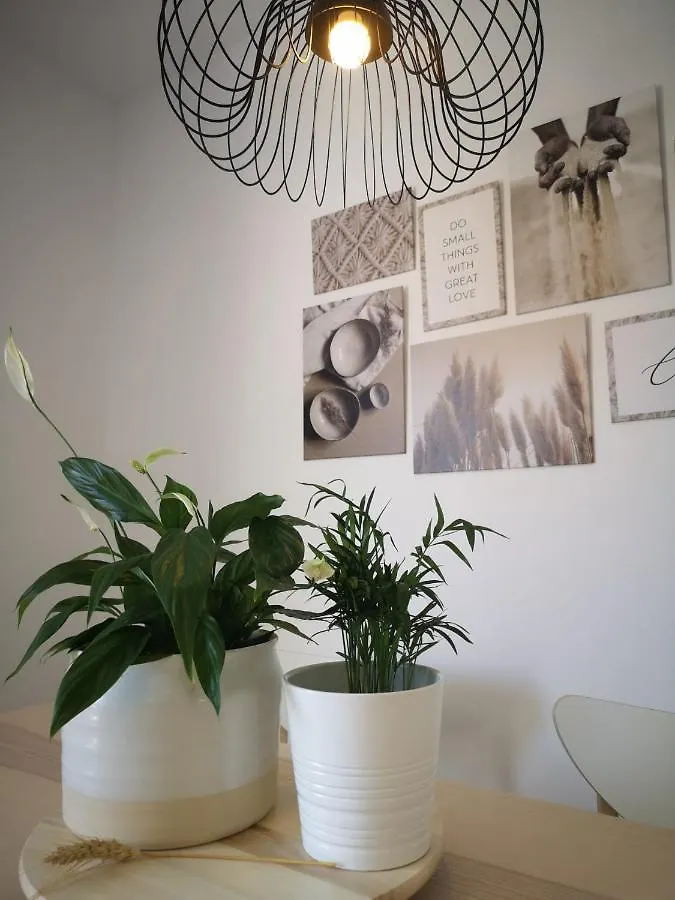 Apartamento Suite Arco De La Villa,Solo Familia Y Parejas,Parking Gratuito Conil De La Frontera Appartement